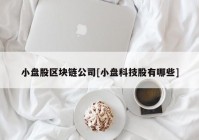 小盘股区块链公司[小盘科技股有哪些]