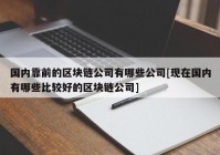 国内靠前的区块链公司有哪些公司[现在国内有哪些比较好的区块链公司]