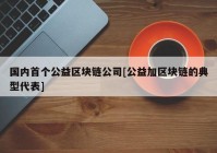 国内首个公益区块链公司[公益加区块链的典型代表]