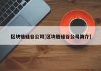 区块链硅谷公司[区块链硅谷公司简介]